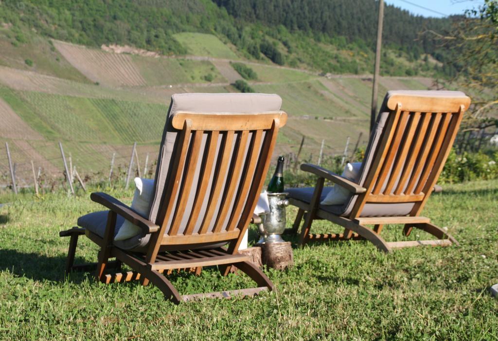 Weingut-Brennerei-Gaestehaus Emil Dauns Reil Exterior foto
